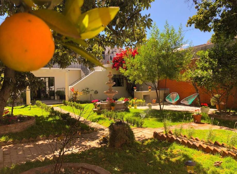 Casa Matia Bed And Breakfast Альенде Экстерьер фото