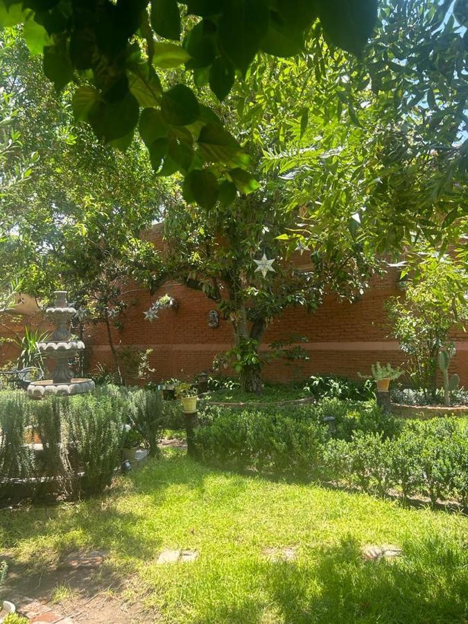 Casa Matia Bed And Breakfast Альенде Экстерьер фото